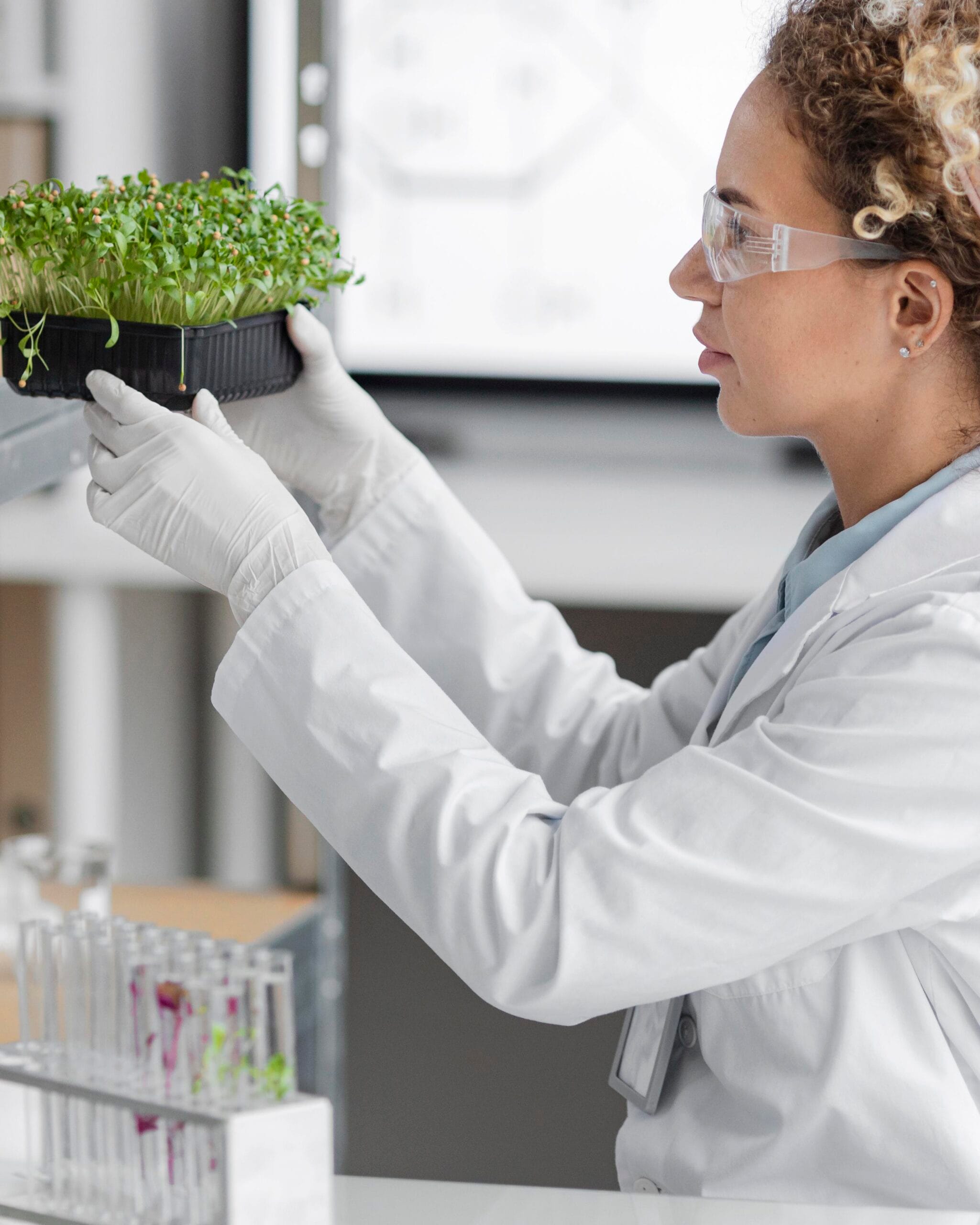 Scientist examining plant samples in laboratory.