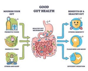 Diagram of gut health nourishment and benefits.