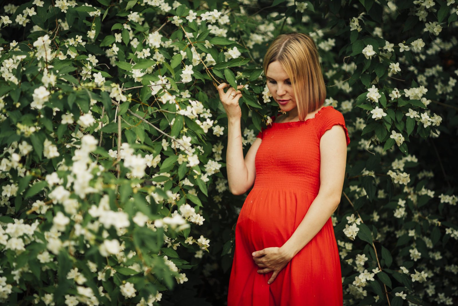 Pregnant woman in red dress among white flowers.
