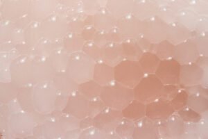 Skin and gut health link