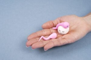 Hand holding clay sperm and egg models.